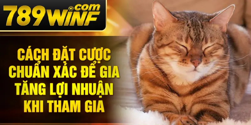 Dấu hiệu may mắn hay lời nhắc nhở về những thay đổi trong cuộc sống